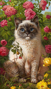 Greeting Cards & Journals